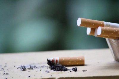 都属于烟草，香烟和雪茄到底有什么区别？