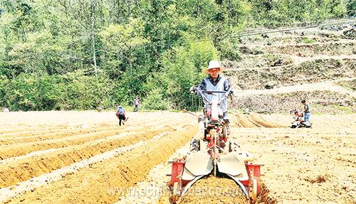 高起垄、深栽烟，难在哪？如何解决？