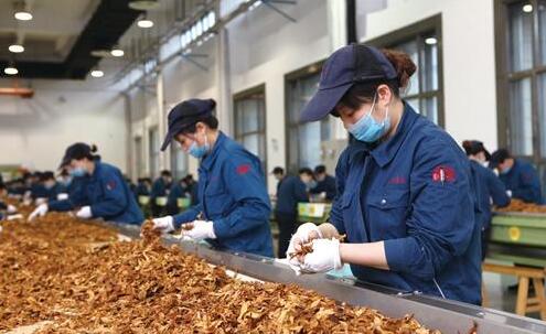 天子（中支）市场表现不俗，上半年销量突破1万箱