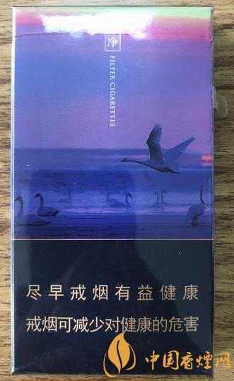 娇子（青海湖纯净）价格：19元钱一包 口感-包装-参数-图片