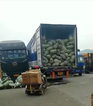 涉案600多万!南宁多部门跨省作战,端掉制售假烟团伙