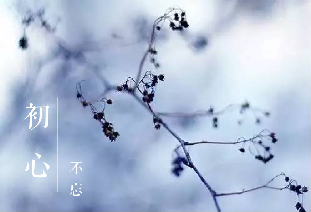 电子烟回归初心之时，即是其加速发展之时
