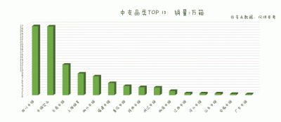 2019国内中支品牌TOP15排行榜