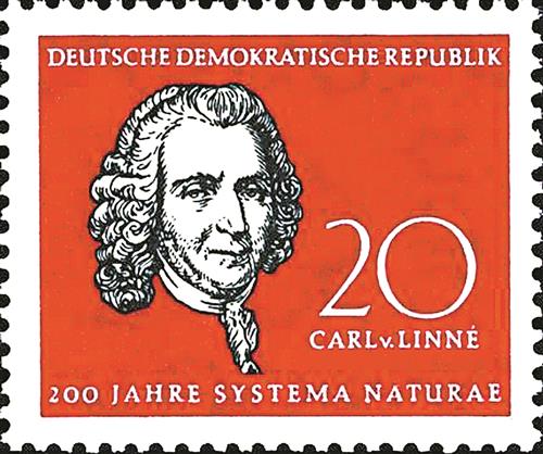 1958年德意志民主共和国发行的卡尔·冯·林奈肖像邮票。