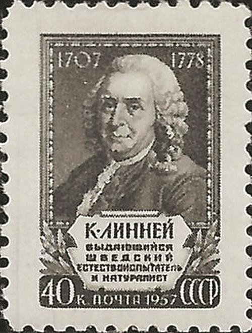 1957年苏联发行的卡尔·冯·林奈肖像邮票。